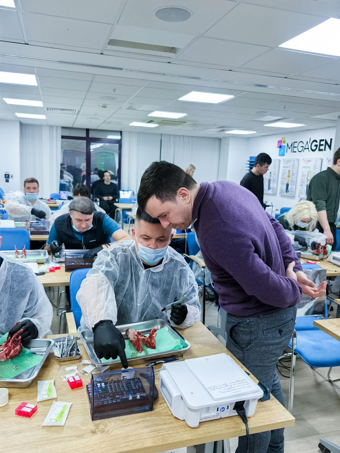 Одномоментная имплантация: от стабилизации к нагрузке