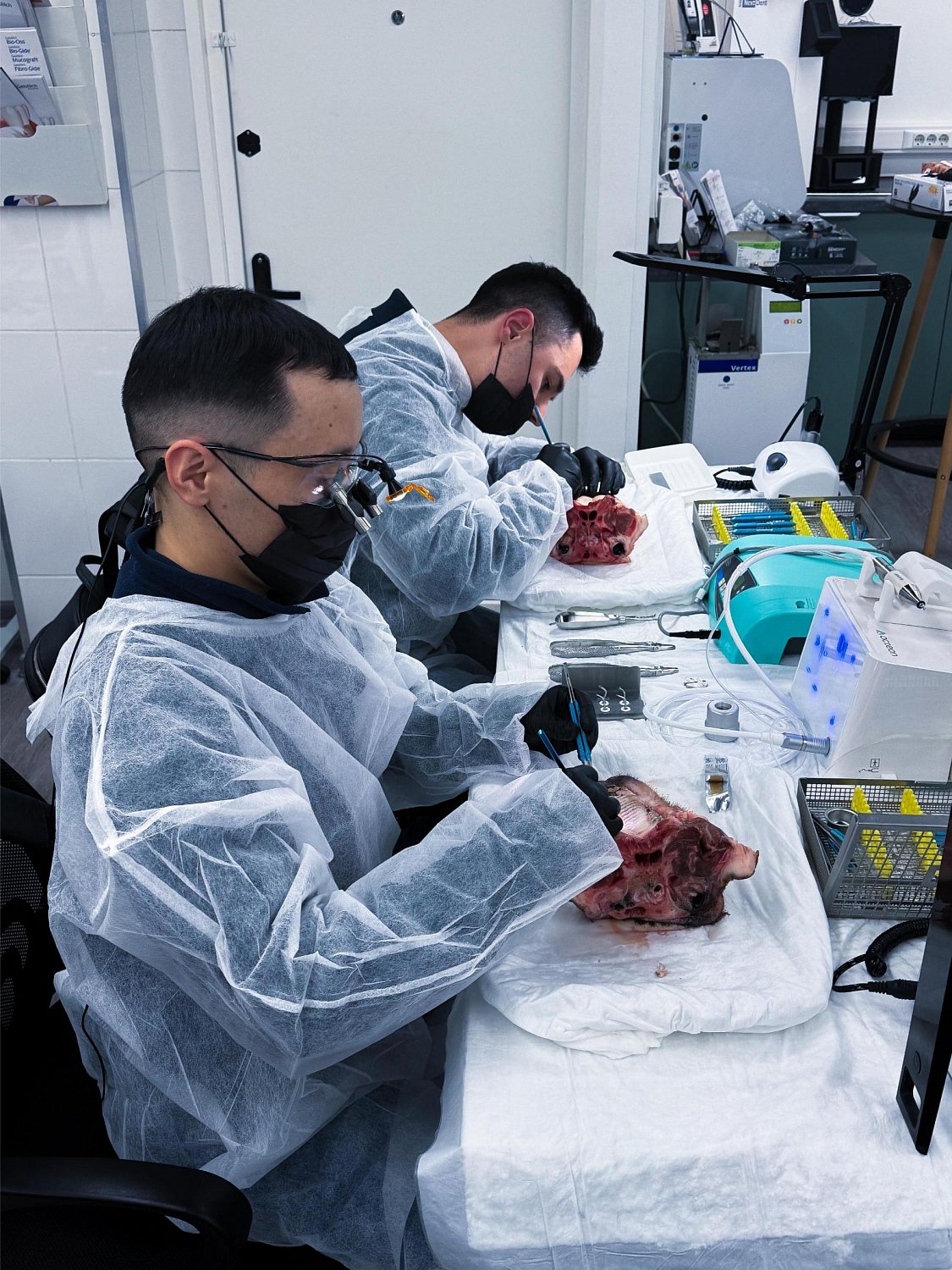 Удалить зуб и сохранить лунку: как проходит малотравматичная хирургия  