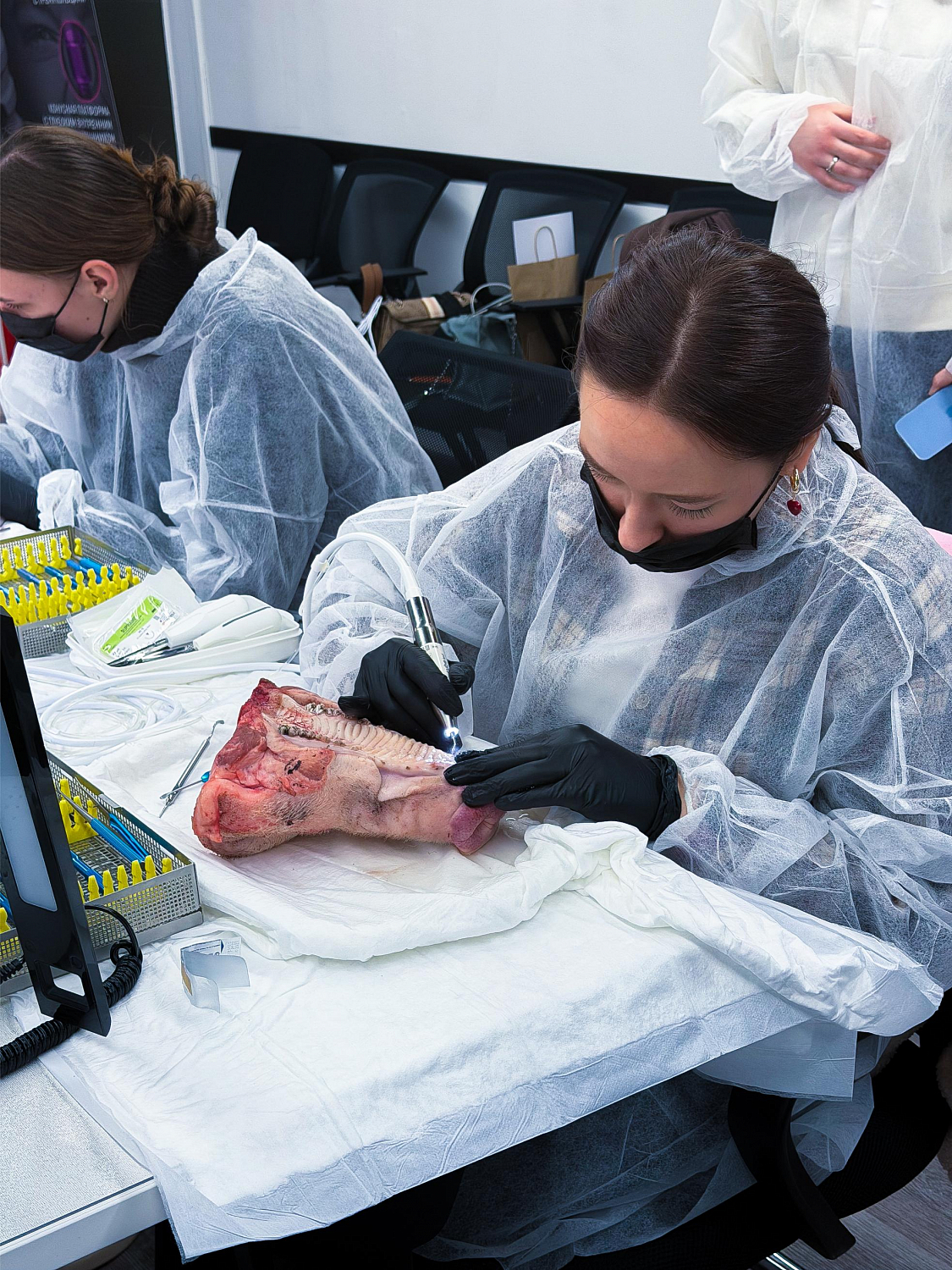 Удалить зуб и сохранить лунку: как проходит малотравматичная хирургия  