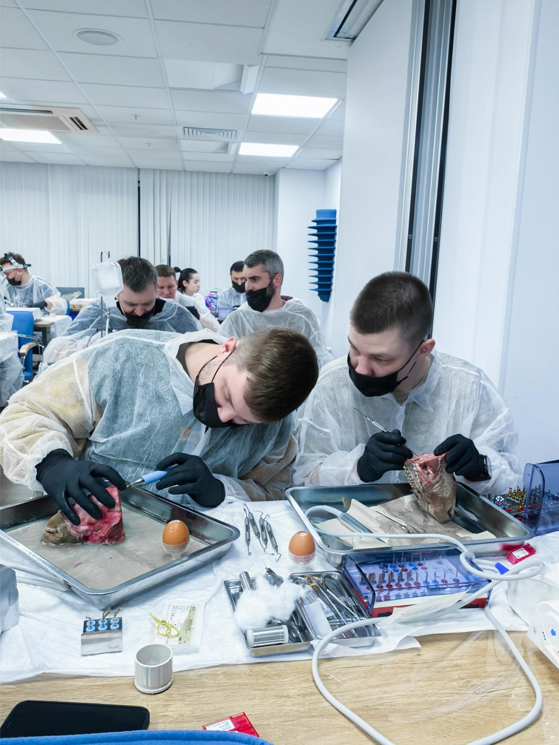 Два дня глубокой практики по костной пластике и синус-лифтингу