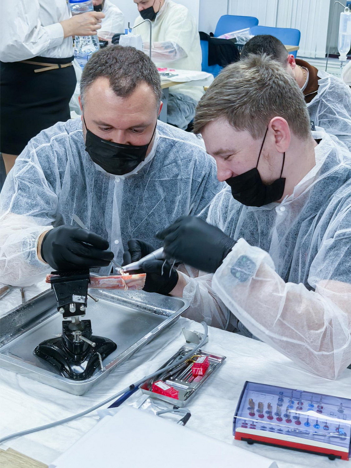 Два дня глубокой практики по костной пластике и синус-лифтингу