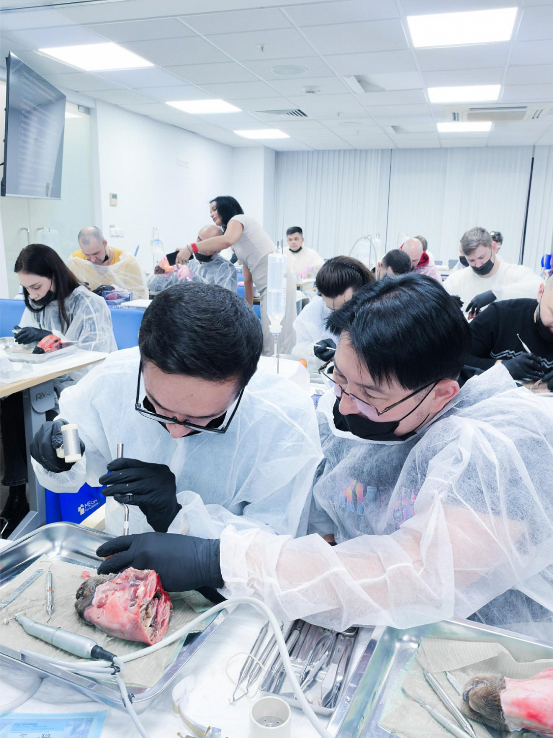 Два дня глубокой практики по костной пластике и синус-лифтингу