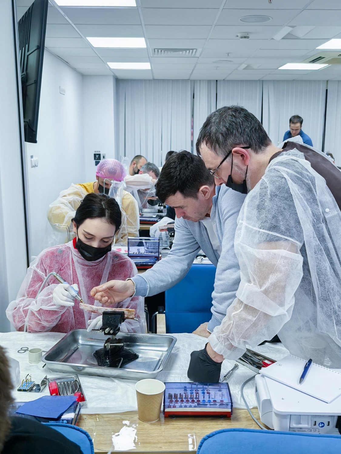 Два дня глубокой практики по костной пластике и синус-лифтингу