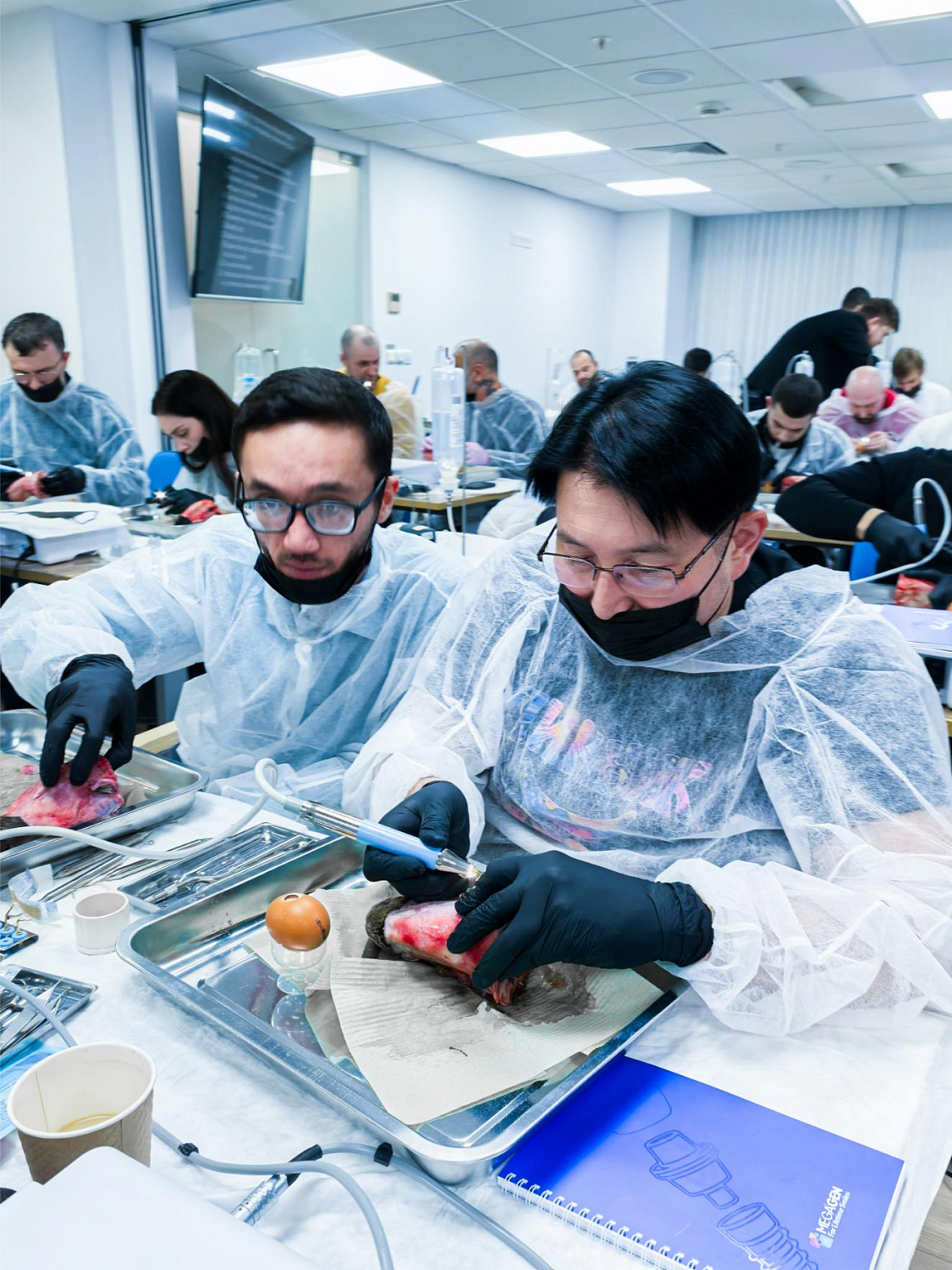 Два дня глубокой практики по костной пластике и синус-лифтингу