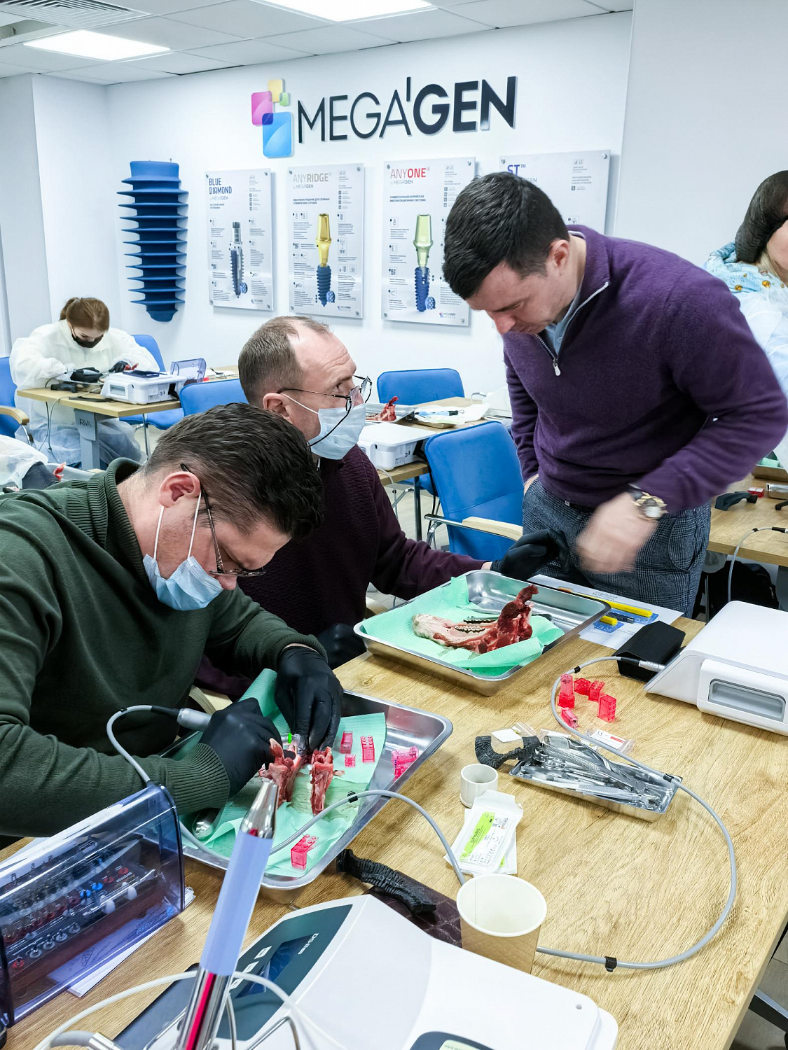 Одномоментная имплантация: от стабилизации к нагрузке