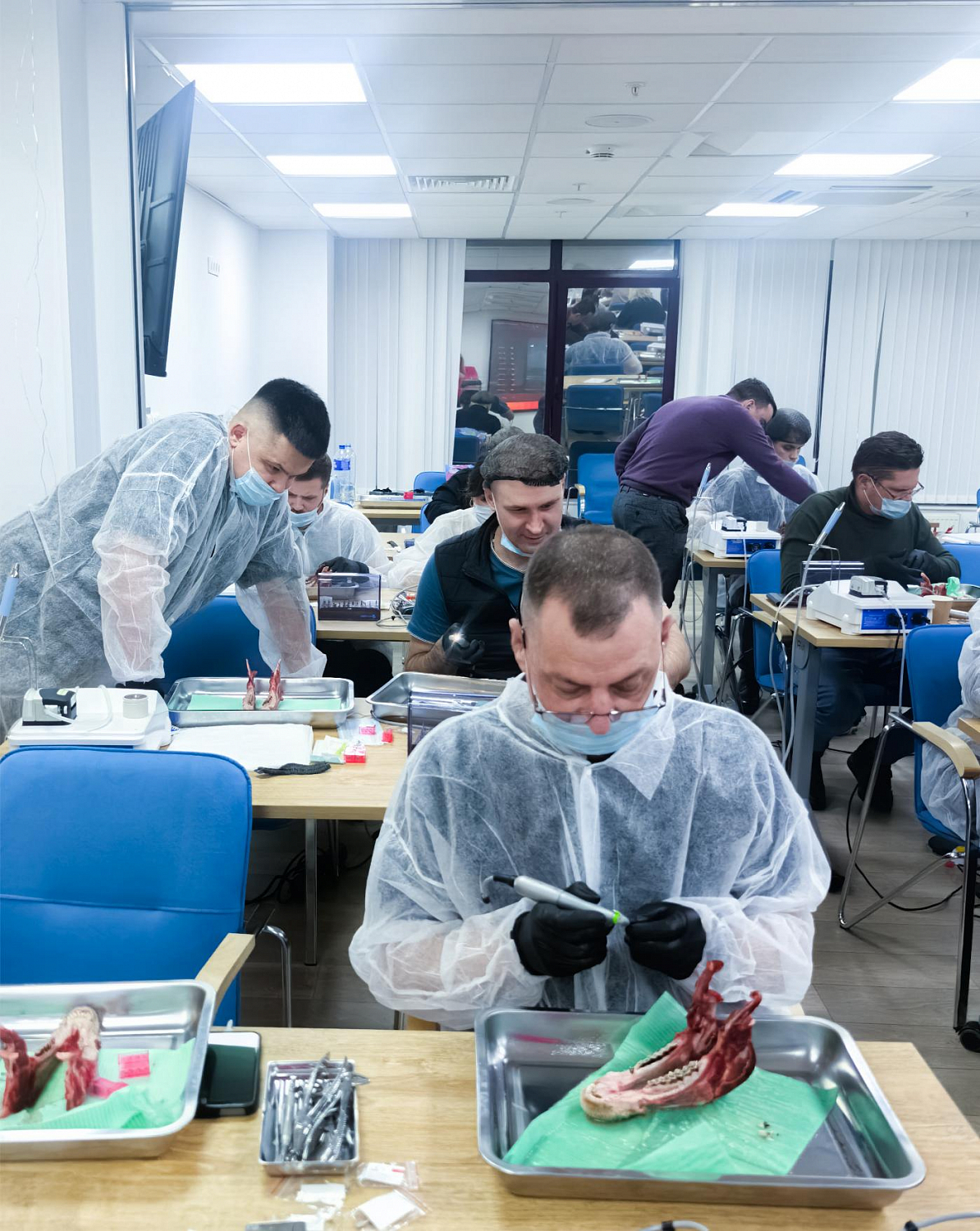 Одномоментная имплантация: от стабилизации к нагрузке