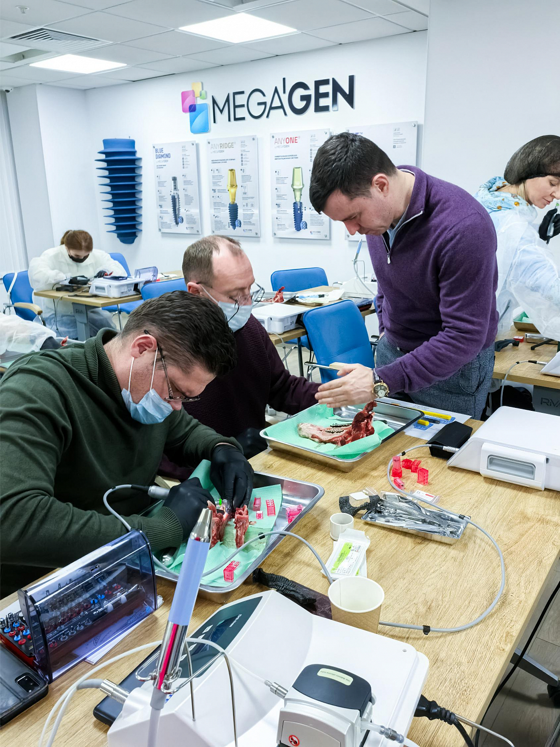 Одномоментная имплантация: от стабилизации к нагрузке