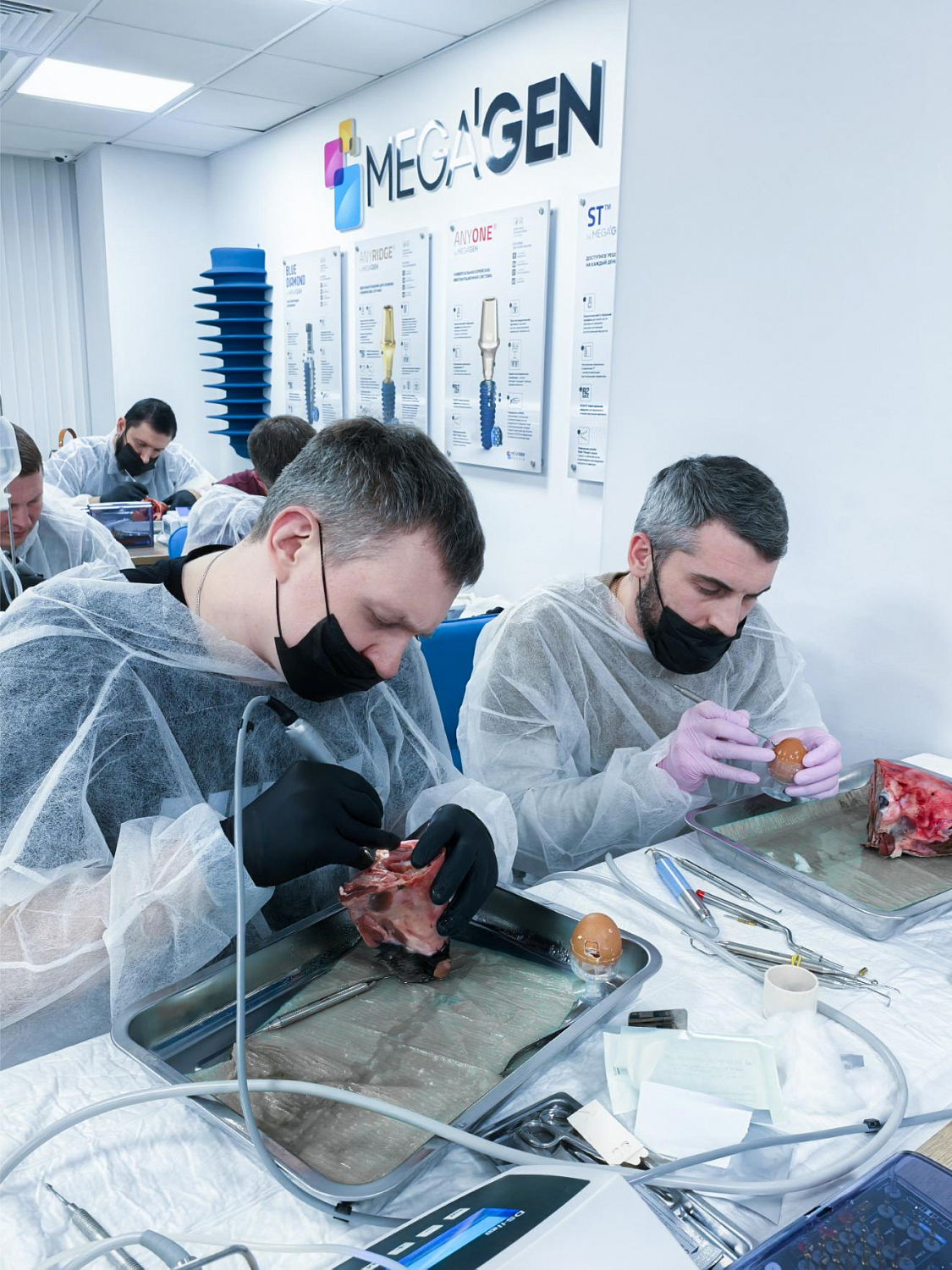 Два дня глубокой практики по костной пластике и синус-лифтингу