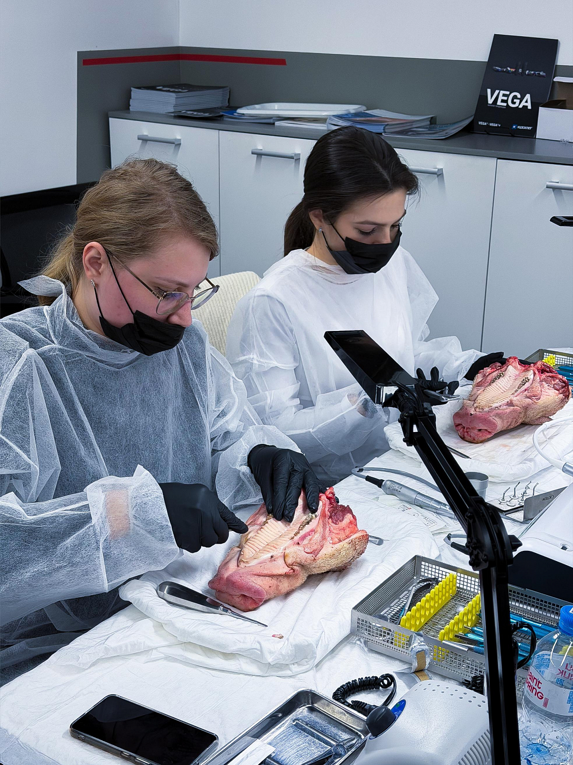 Удалить зуб и сохранить лунку: как проходит малотравматичная хирургия  