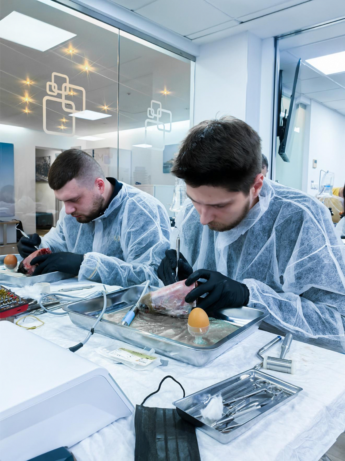 Два дня глубокой практики по костной пластике и синус-лифтингу