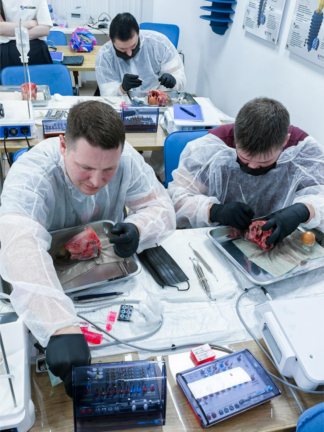 Два дня глубокой практики по костной пластике и синус-лифтингу