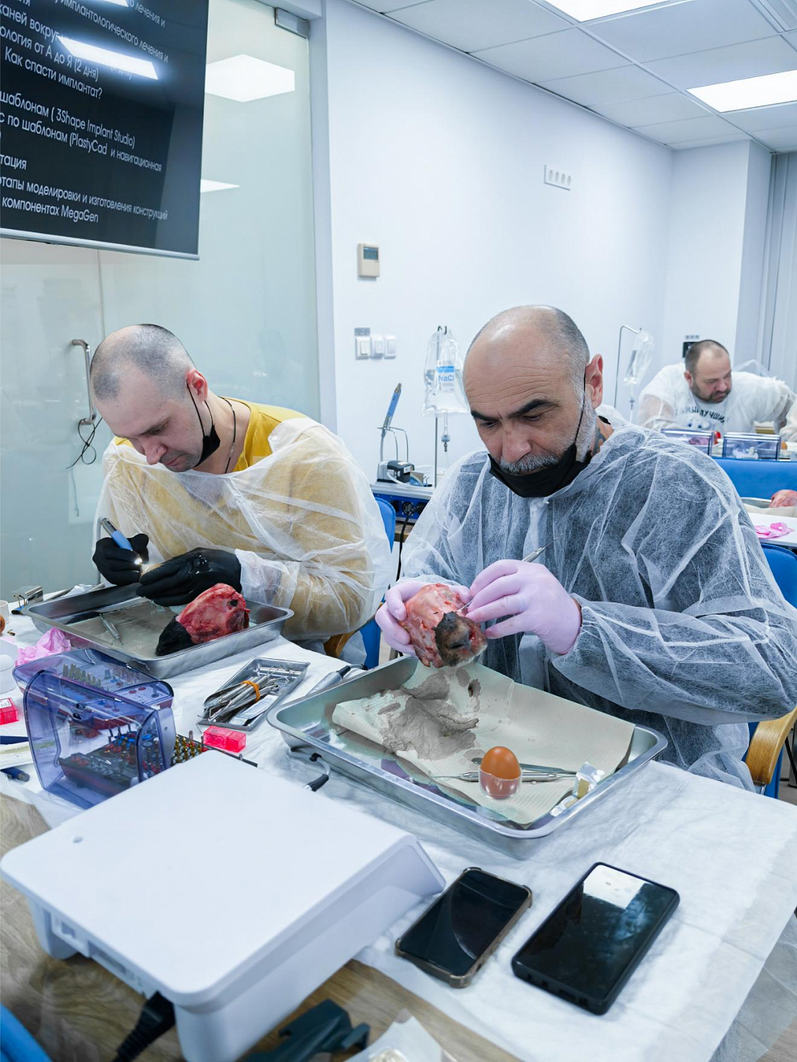 Два дня глубокой практики по костной пластике и синус-лифтингу
