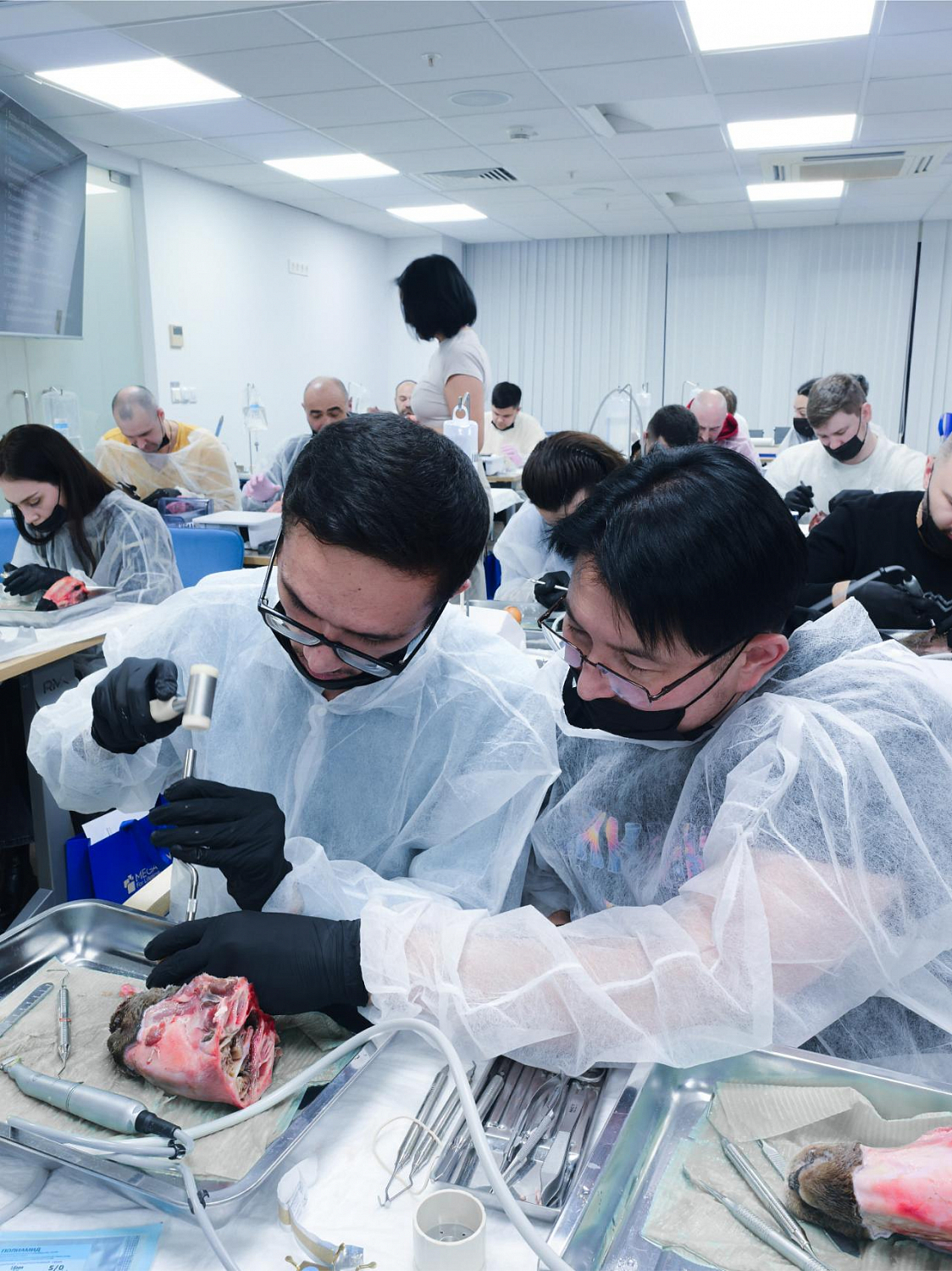 Два дня глубокой практики по костной пластике и синус-лифтингу