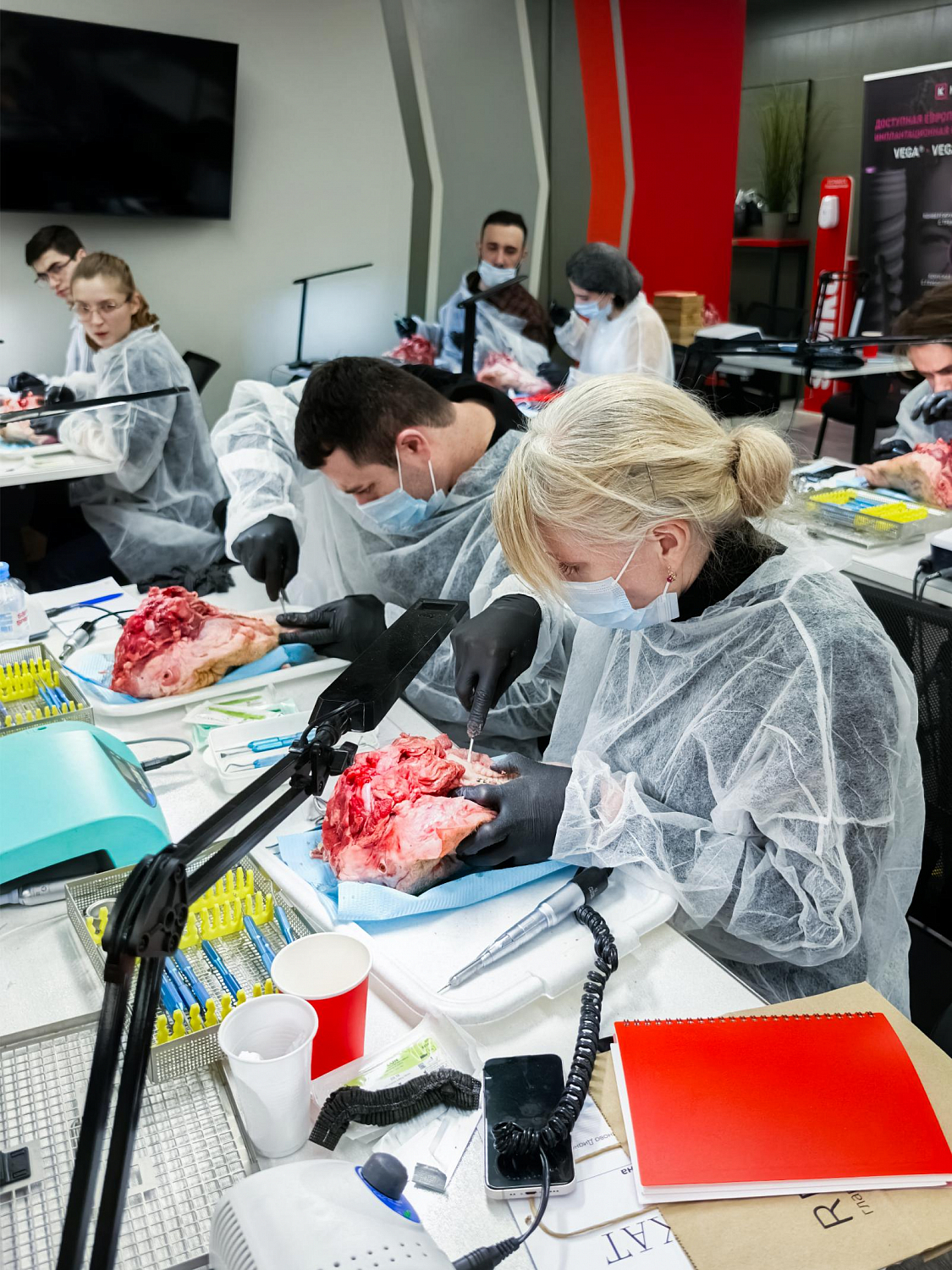 Малотравматичное удаление как основа имплантации