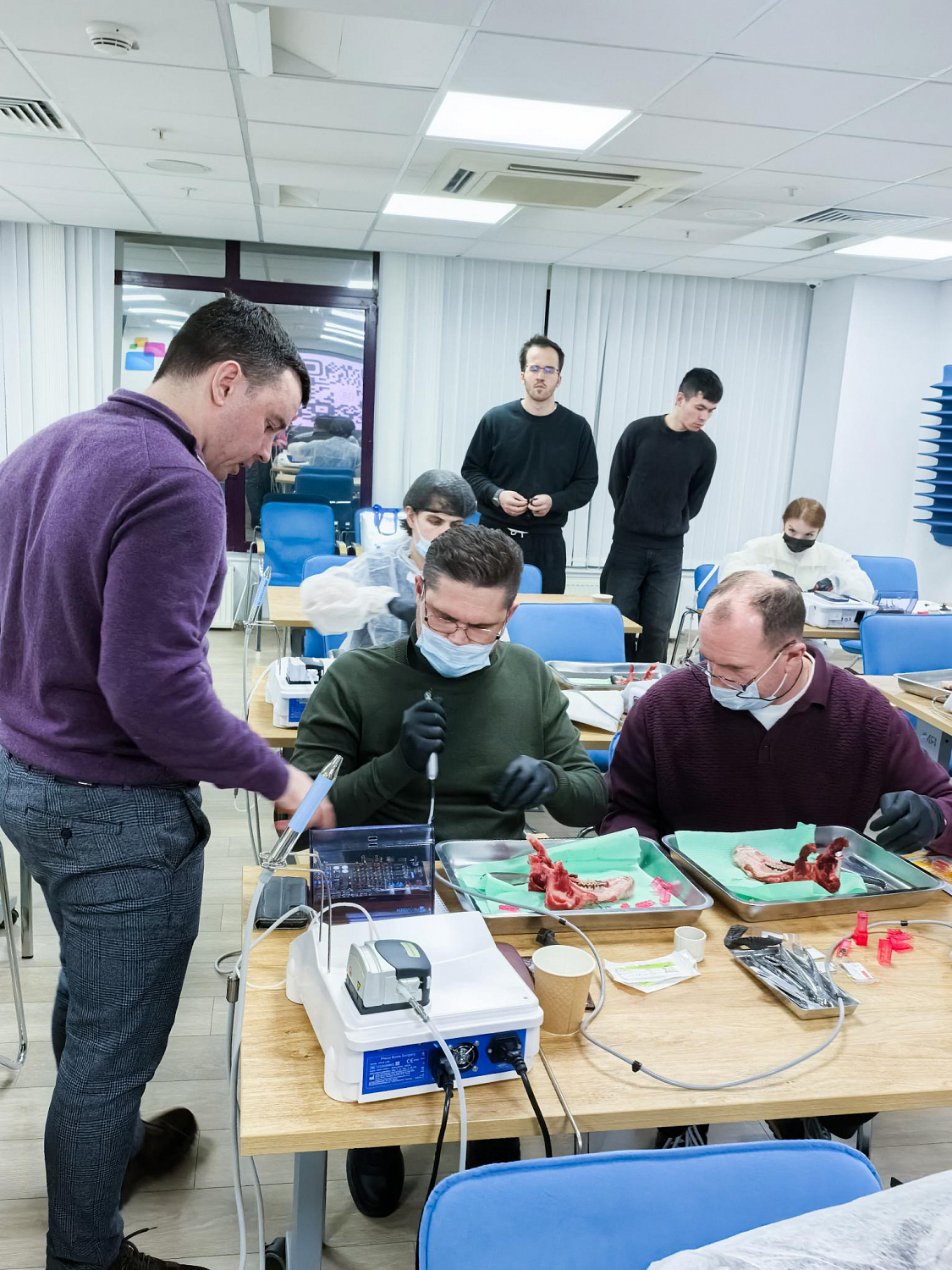 Одномоментная имплантация: от стабилизации к нагрузке