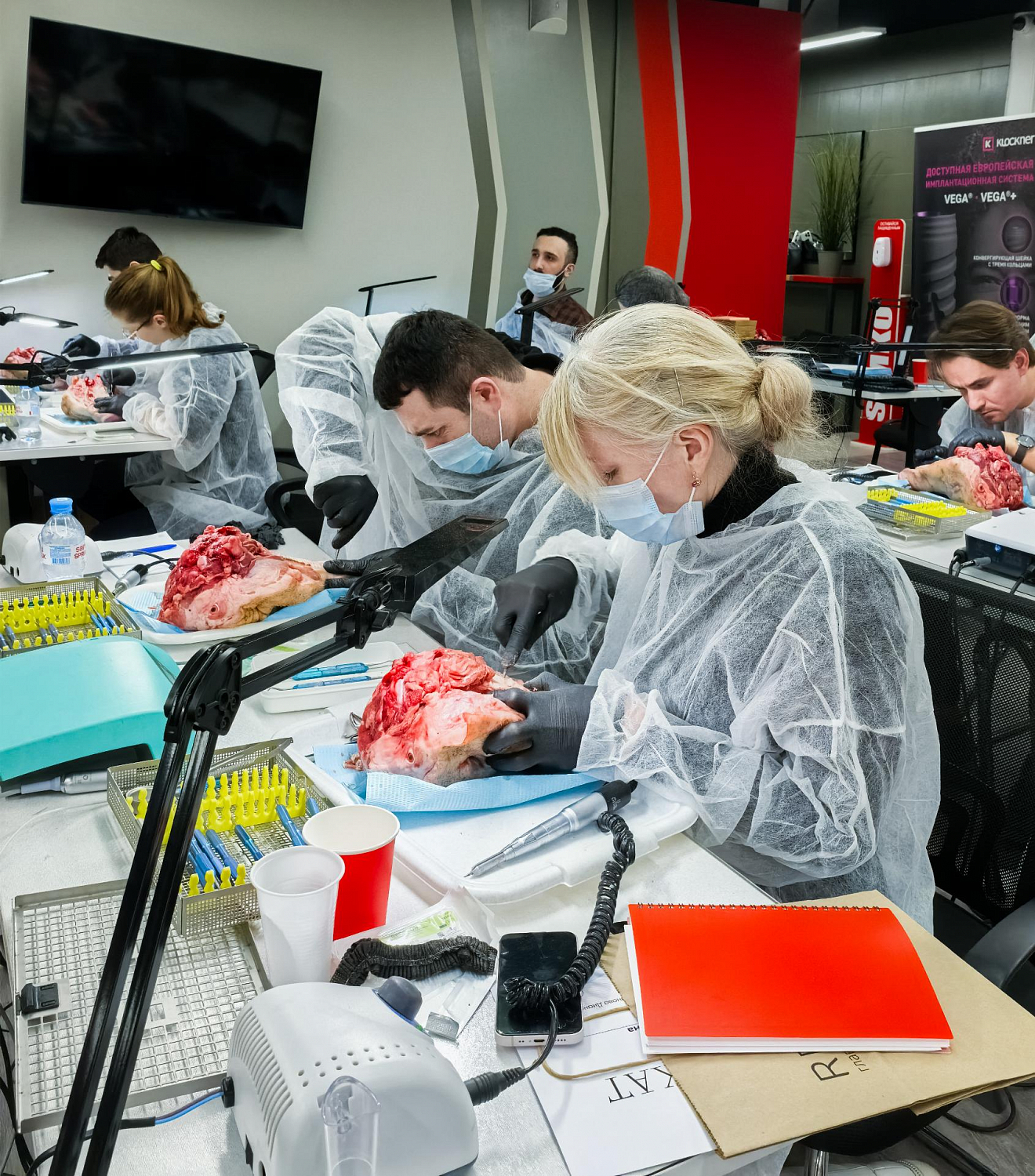 Малотравматичное удаление как основа имплантации