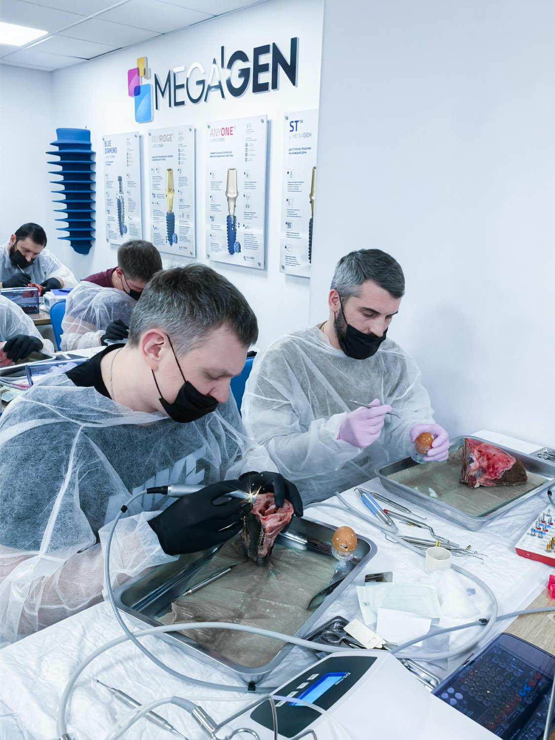 Два дня глубокой практики по костной пластике и синус-лифтингу