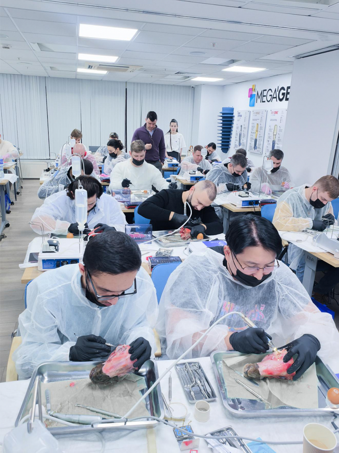 Два дня глубокой практики по костной пластике и синус-лифтингу