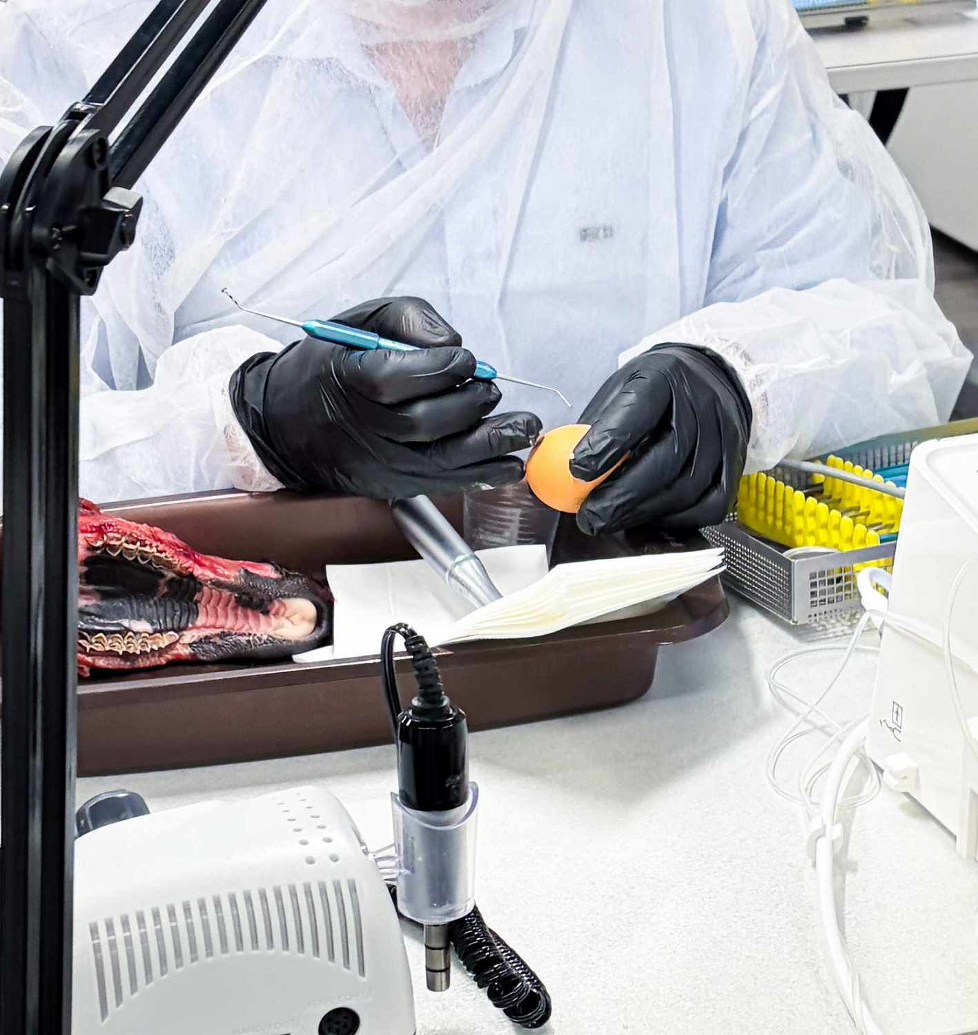 Синус-лифтинг от А до Я: отработка протокола на биофантомах и разбор клинических решений 