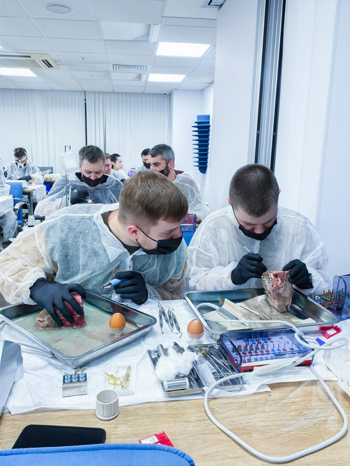 Два дня глубокой практики по костной пластике и синус-лифтингу